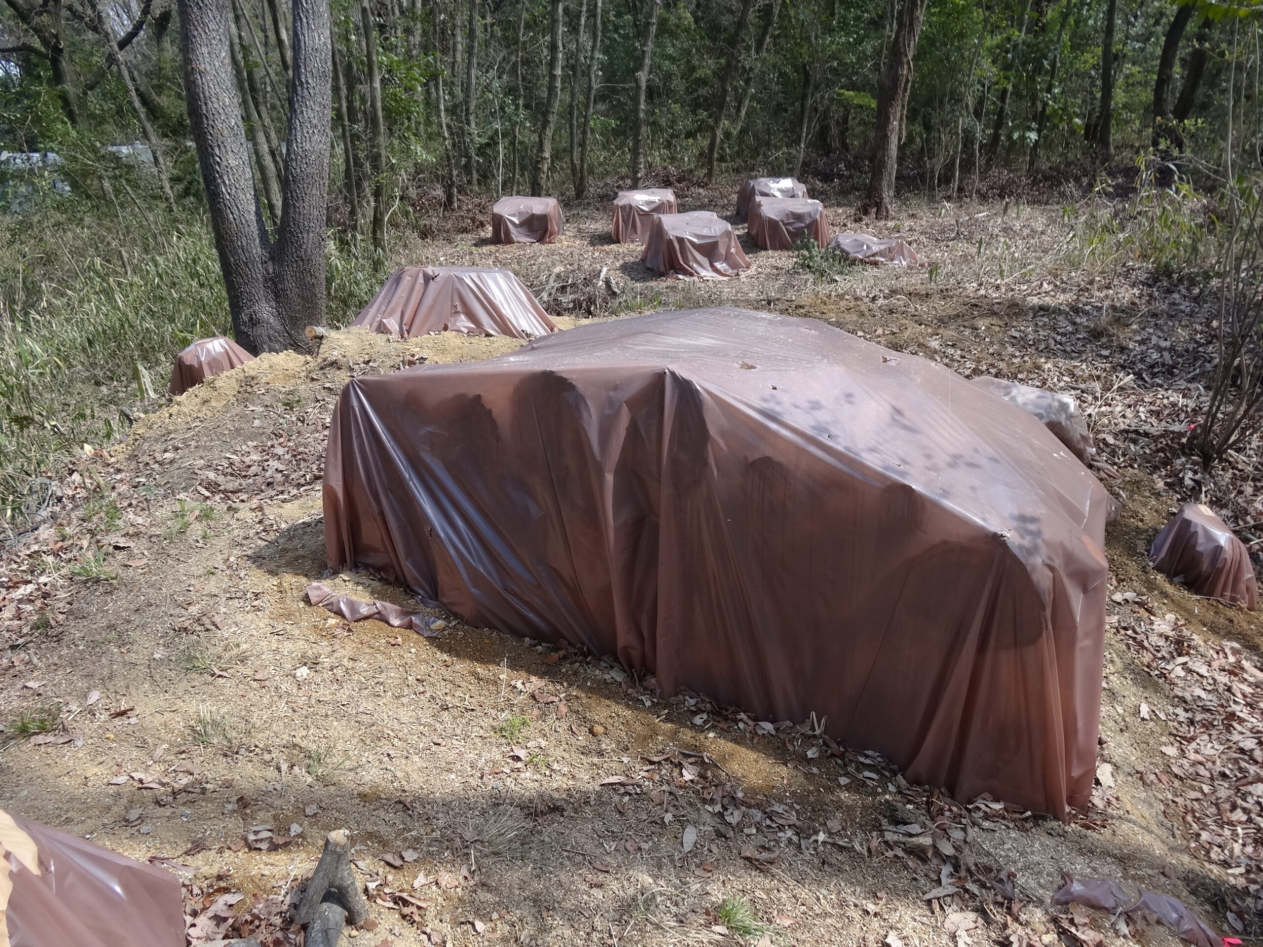 燻蒸処理で被害拡大防止